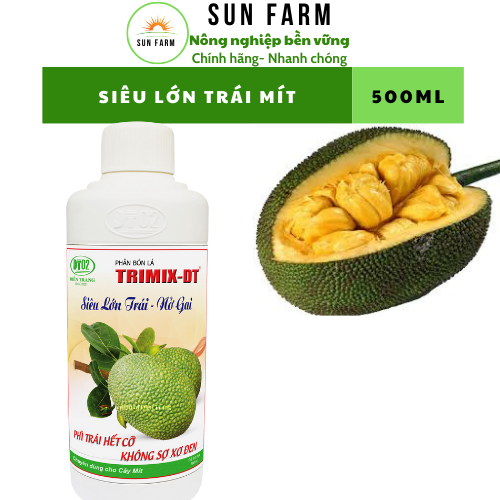 [mua 5 tặng 1] SIêu lớn trái nở gai mít 500ml