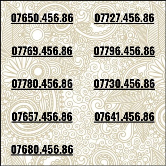 Sim tam hoa 0, sảnh tiến 456