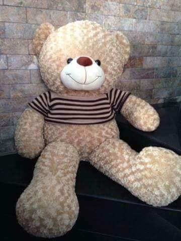 Gấu teddy cao cấp khổ vải 1m size 80cm