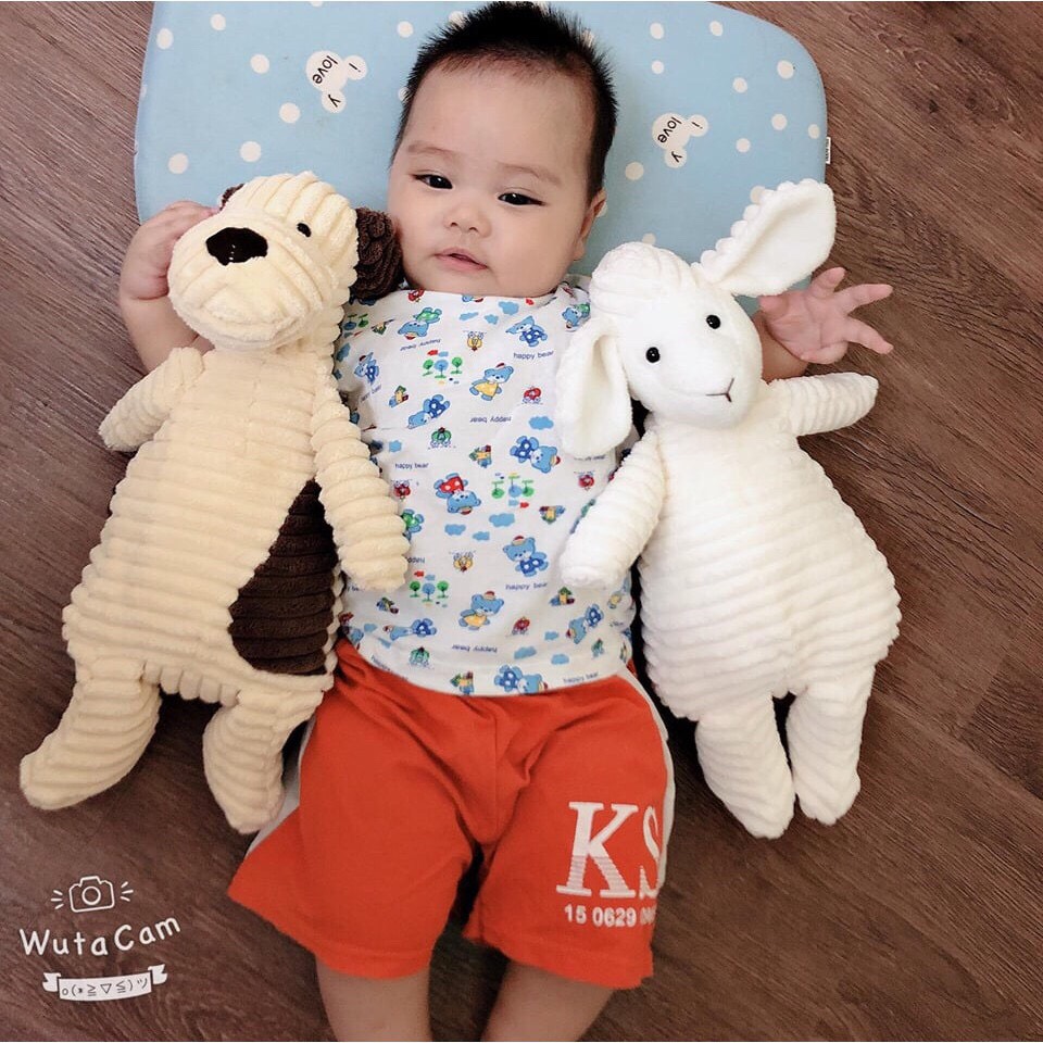 Cừu, Cún bông ngộ nghĩnh cho bé