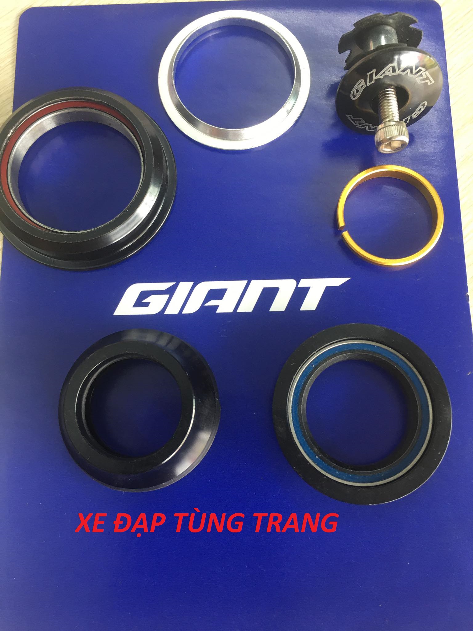 Bát chén xe đạp cổ thả Bạc Đạn GIANT 44mm/55mm .
