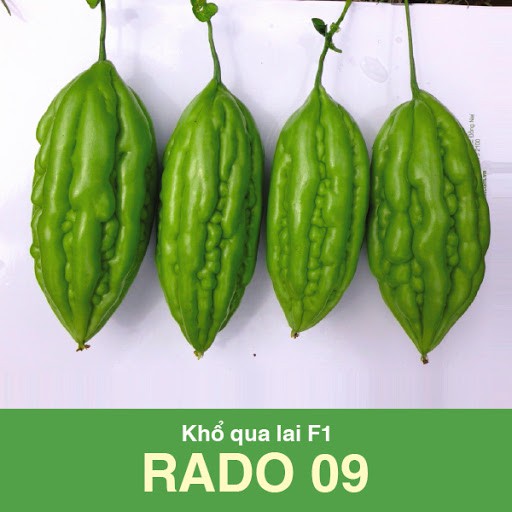 2Gram Hạt Giống Khổ Qua Trái Dài