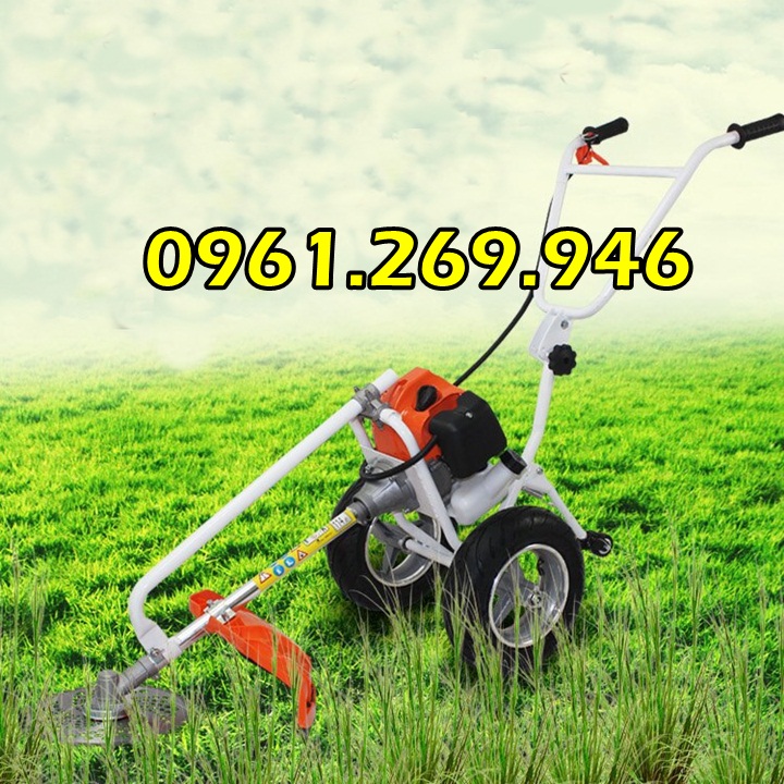 Máy cắt cỏ đẩy tay động cơ GX35