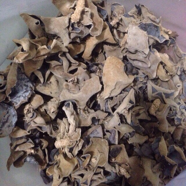 Nấm mèo 100g