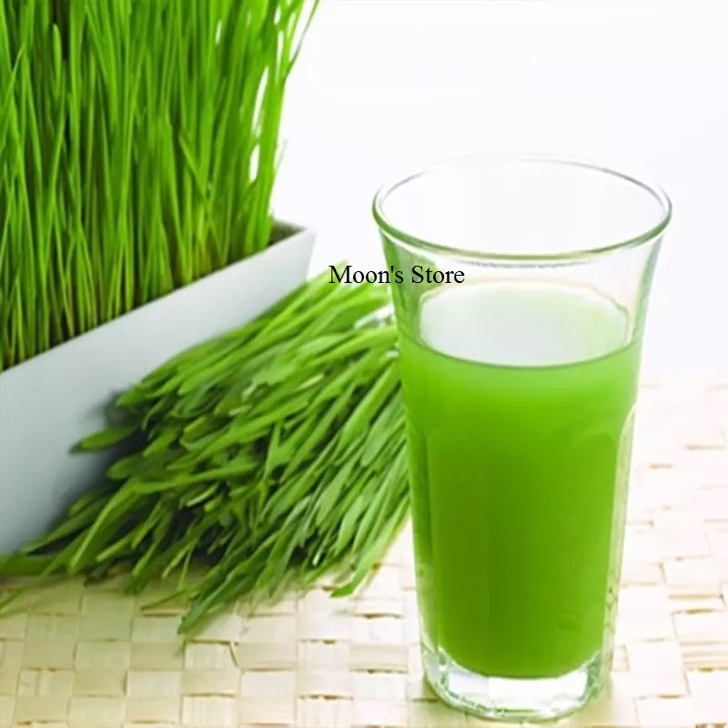 Bột cỏ lúa mỳ sấy lạnh nguyên chất, kiềm hóa và thải độc cơ thể