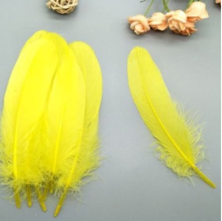 5-10 lông vũ cứng 15-20cm nhiều màu