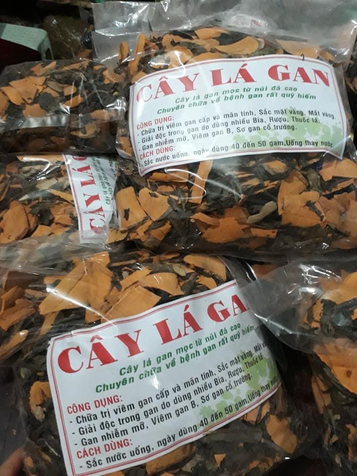 CÂY LÁ GAN