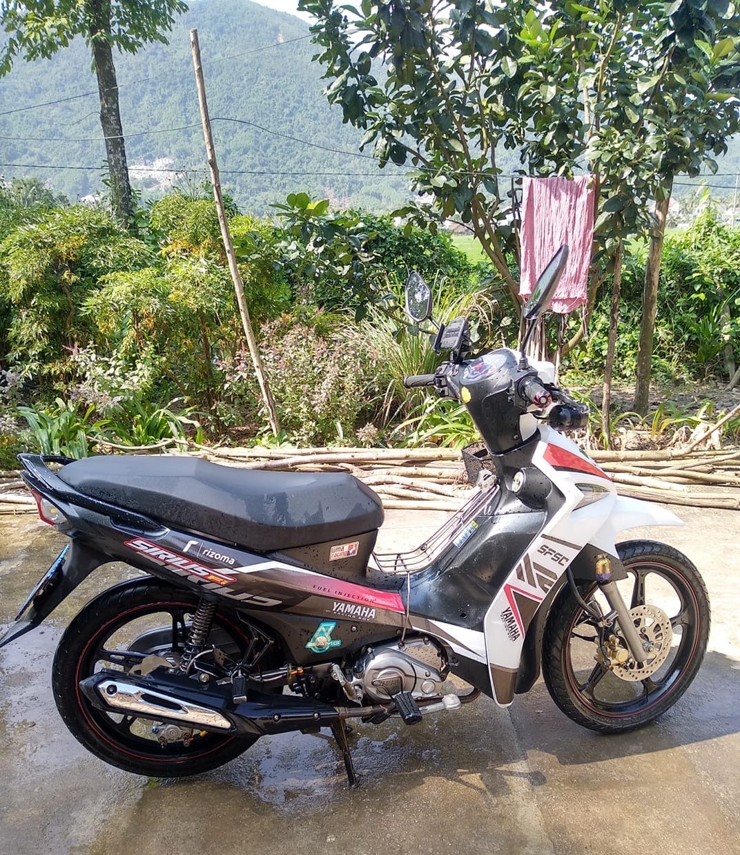 Tem sirius fi đỏ đen