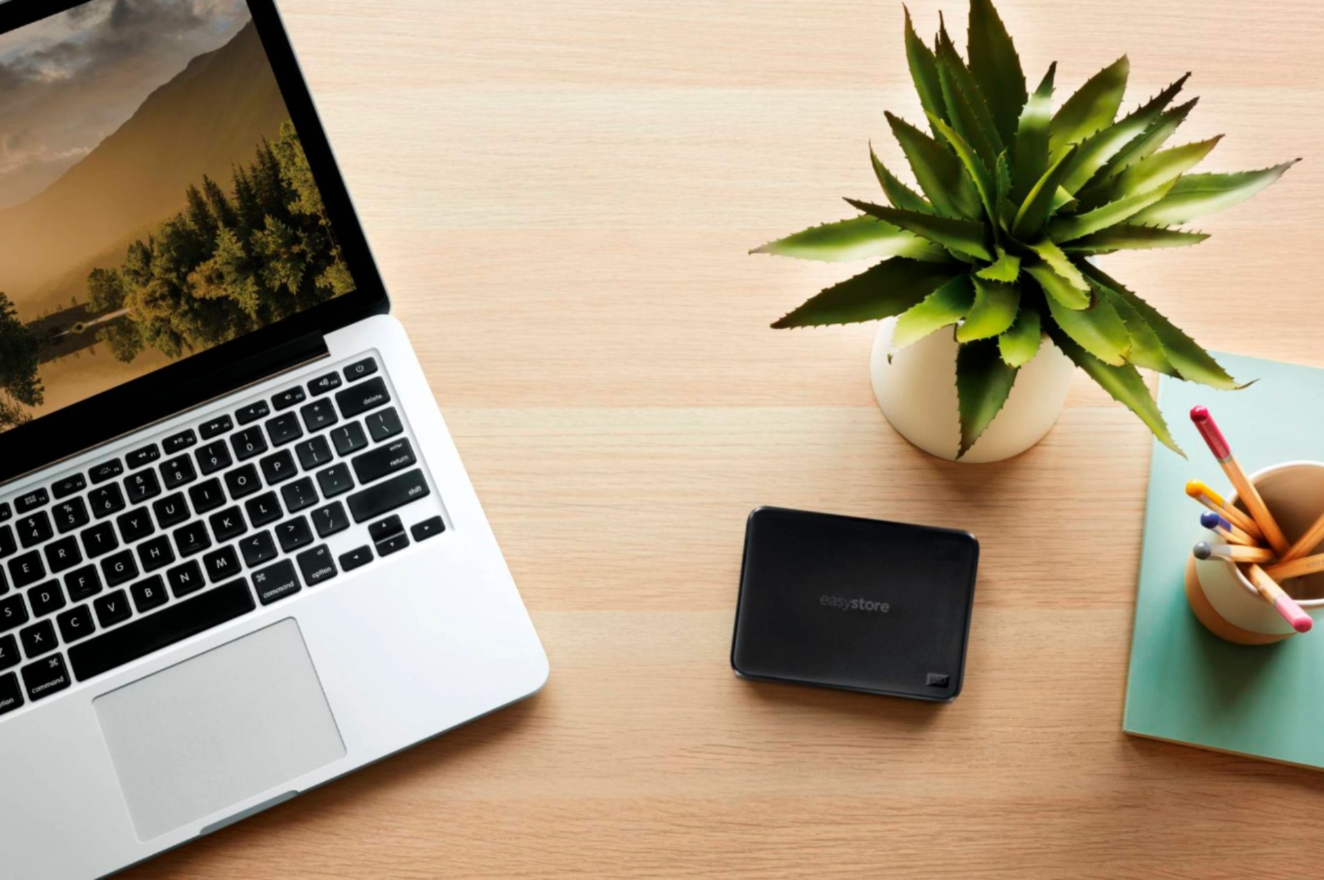 ổ cứng đi động WD Easystore 5TB External USB 3.0