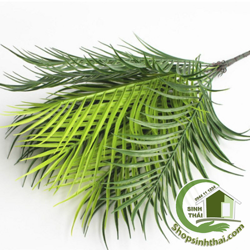 [HCM]Bụi cây dừa - bụi lá dừa giả cao 50cm