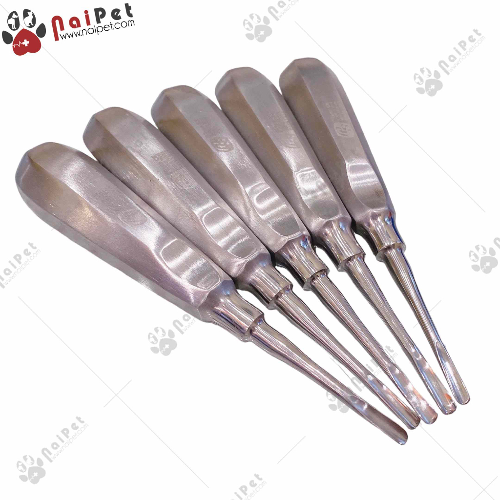Dụng cụ nhổ răng nạy bẩy chuyên dụng pakistan rhm001