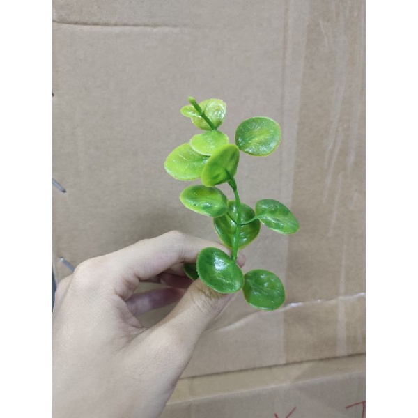 100gr cỏ điểm hoa các loại đã nhặt sạch cọng dư