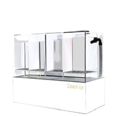 Bể cá betta 4 ngăn acrylic cao cấp có bộ lọc đáy bể