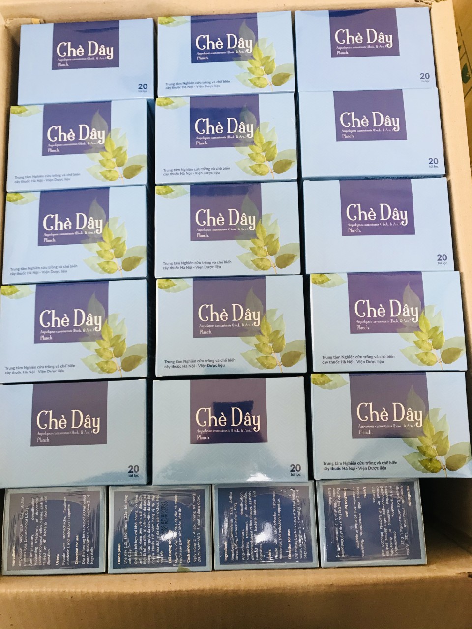 Trà túi lọc chè dây