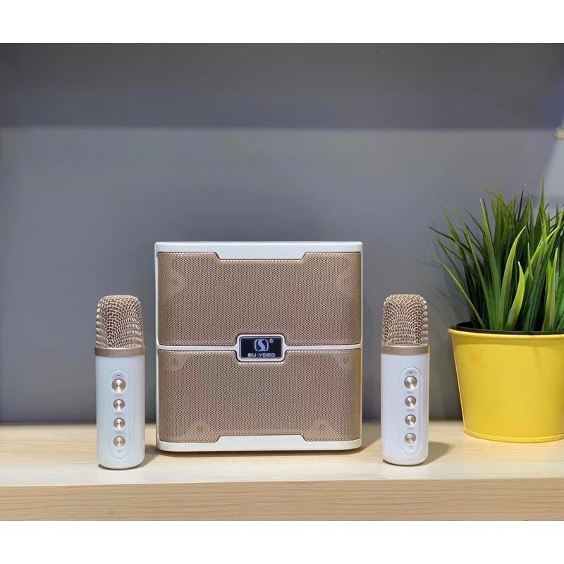 Loa karaoke bluetooth mini Ys-213 kèm micro