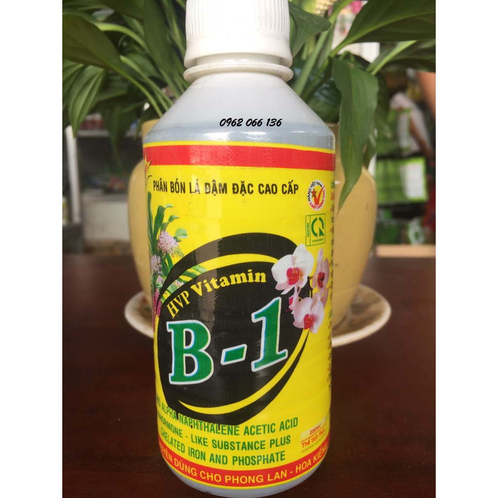 Phân bón lá Vitamin b1 HVP