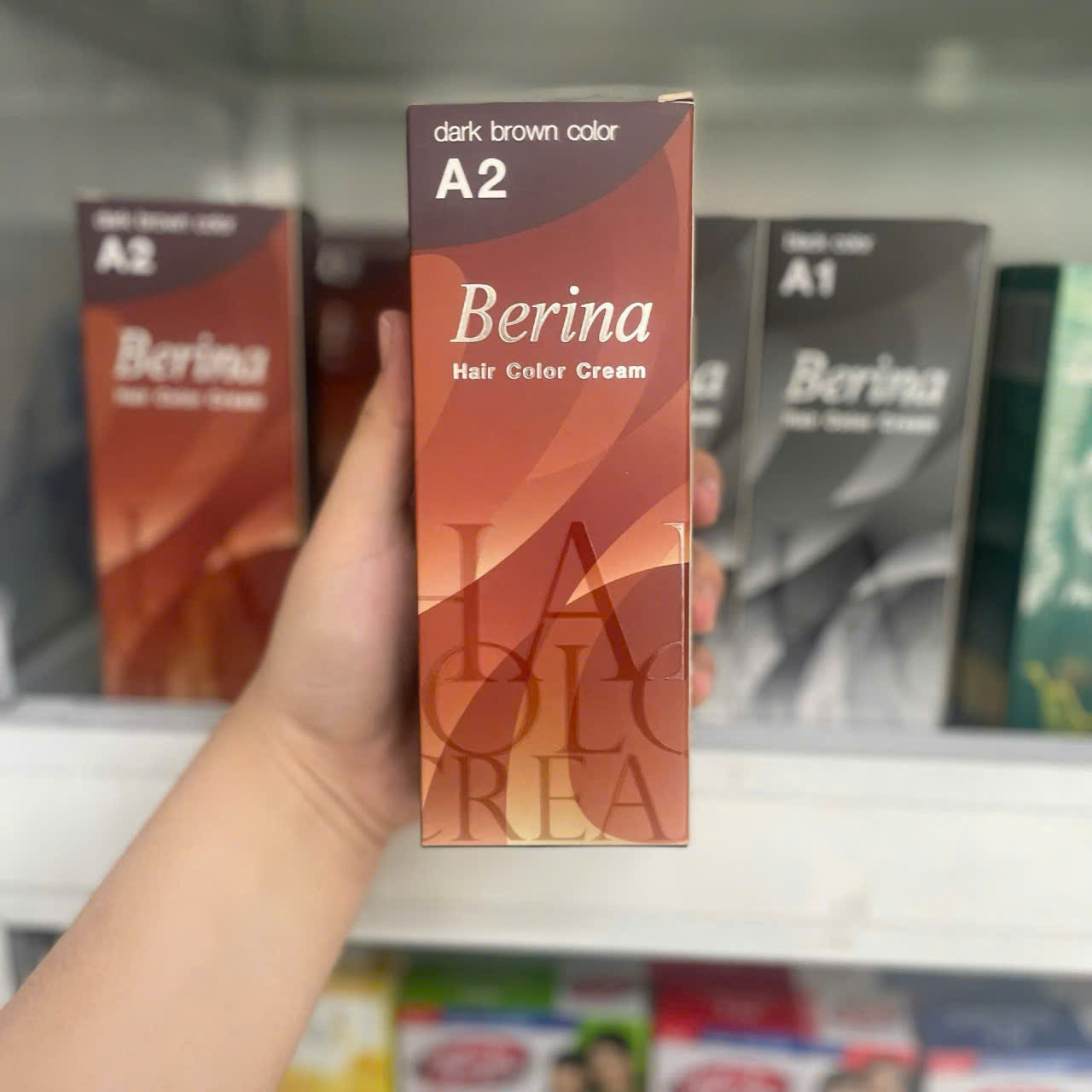 Berina Hair Dye with Thai Silver Coating