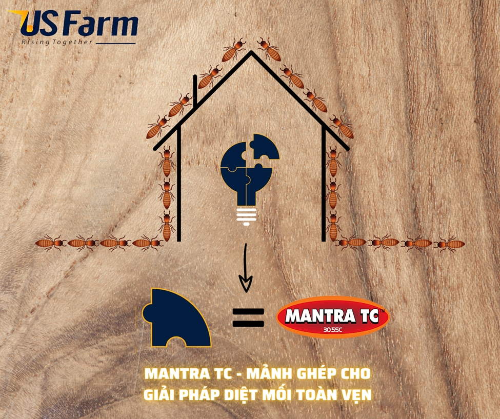 Thuốc diệt Mối MANTRA TC 305 SC - chai 50ml (Nhập Khẩu)
