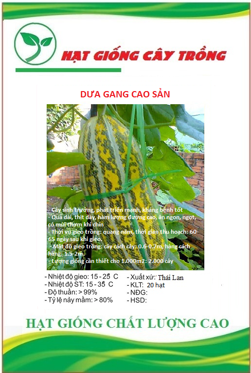 Hạt giống dưa gang cao sản f1 ct81 - gói 20 hạt