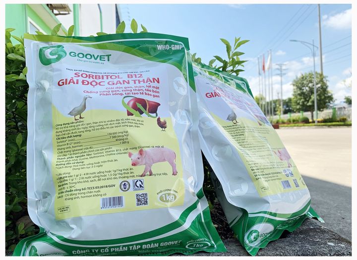 Giải độc gan thận