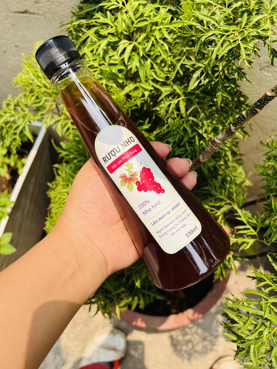 Nước ép nho lên men 330 ml [ít đường]