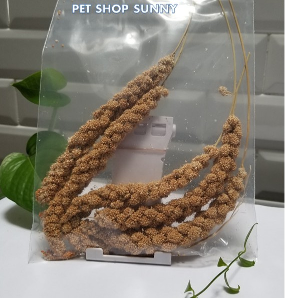 Kê Chùm Mượt Lông Cho Hamster, Sóc