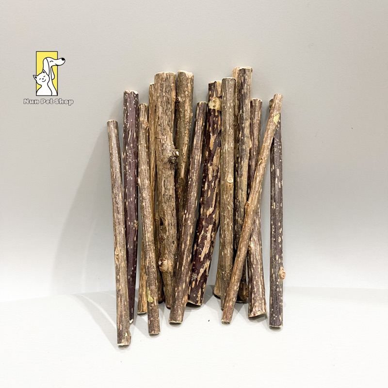 Que gỗ Catnip bạc hà cho mèo gặm sạch răng giảm Stress