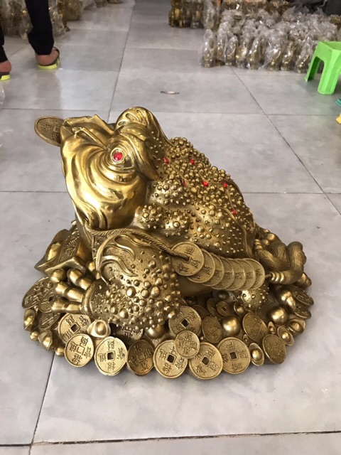 Thiềm thừ cuốn thư