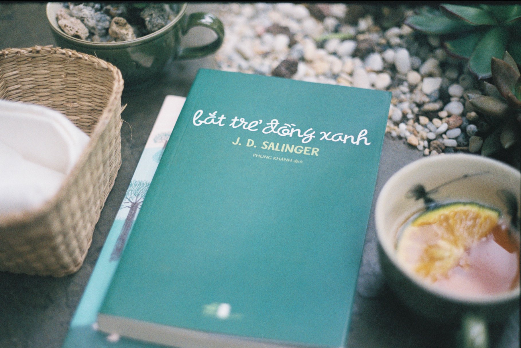 Sách - Bắt trẻ đồng xanh (TB 2024) (Nhã Nam HCM)