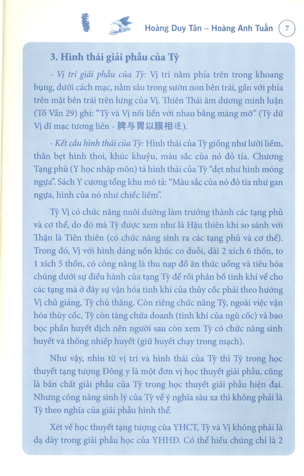 Tỳ Vị Trong Đông Y