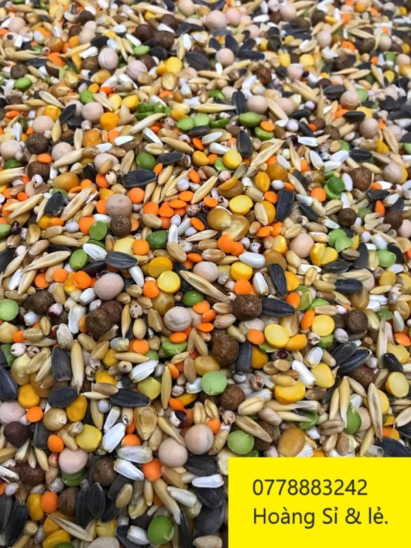 Ngũ Cốc Chiến Kê dành cho gà đá (10kg) - Pet Food Store.