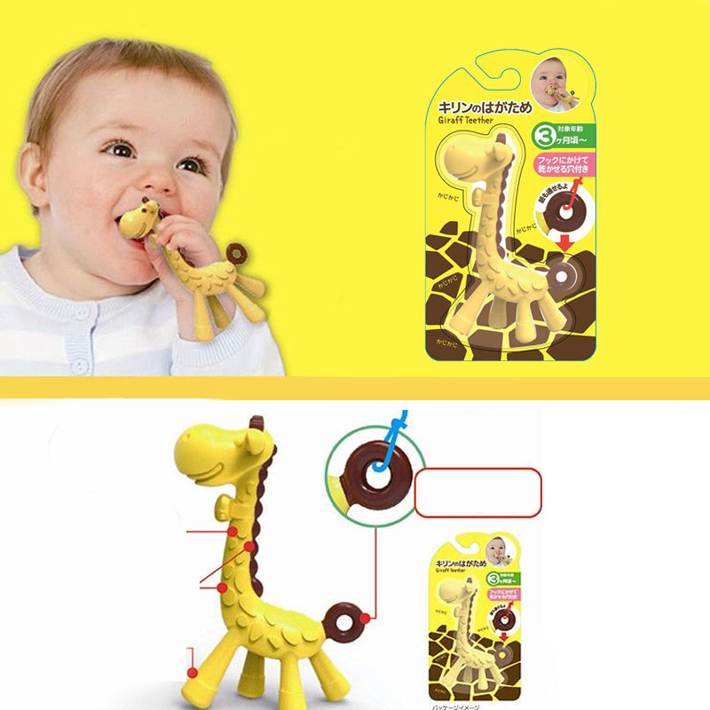 Gặm nướu cho bé con hươu