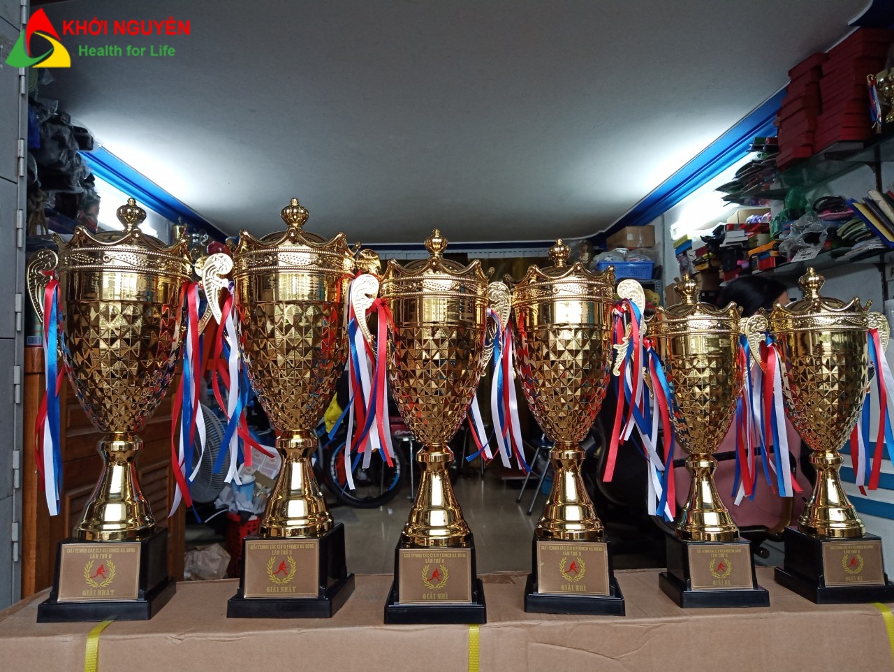 Cúp kim loại giá rẻ tl-037