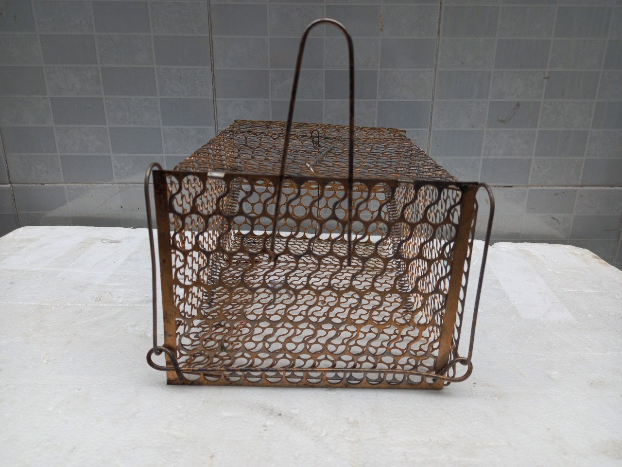 25 cm Mouse Trap Cage with Lock