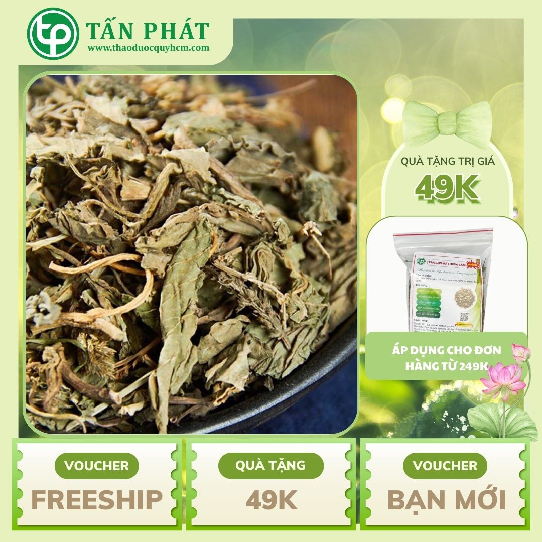 Mã đề sấy khô 1kg - Hàng loại 1 chất lượng cao - Thảo Dược Tấn Phát