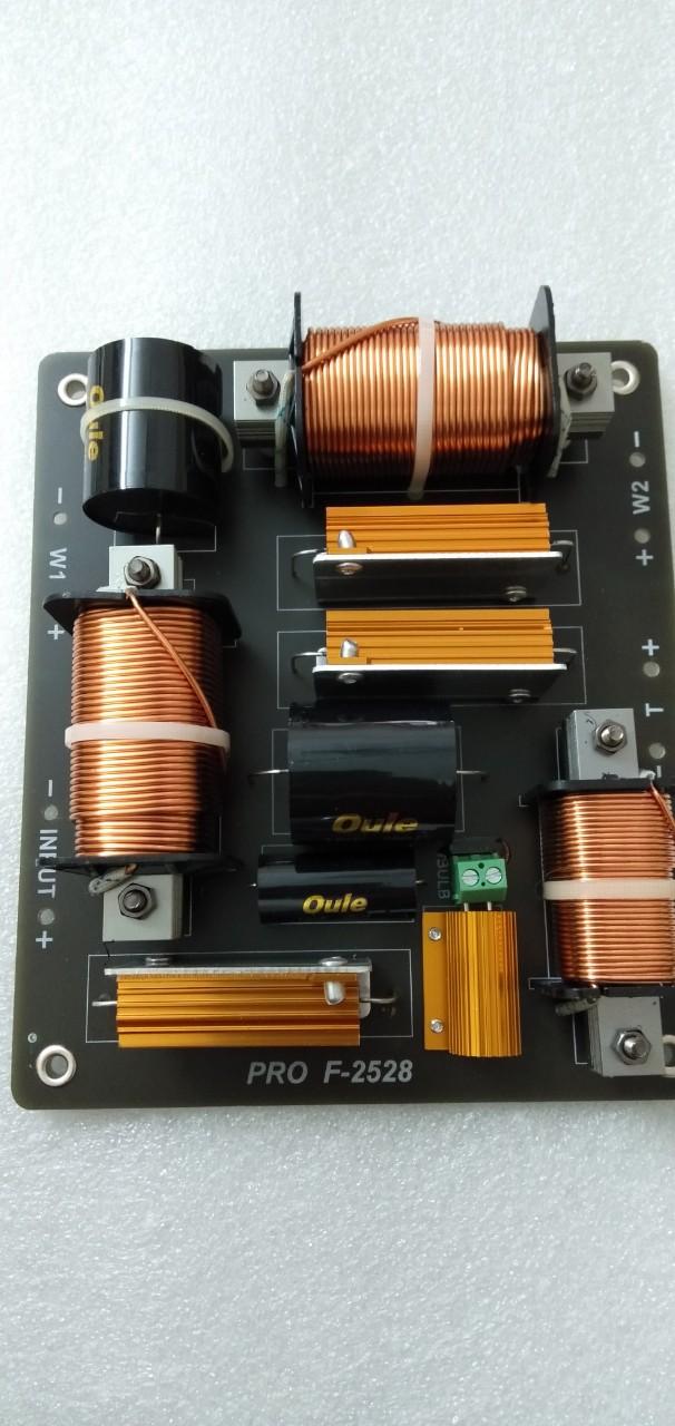Phân tần loa PRO F-2528 - Điện Tử Nhật Anh