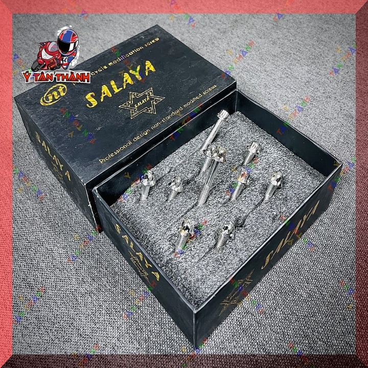 Bộ Ốc Lốc Máy Salaya Vario,click 125 10 Con