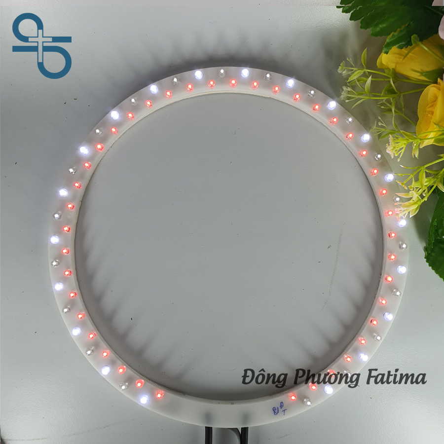 Vòng Hào Quang Led Đôi 21cm