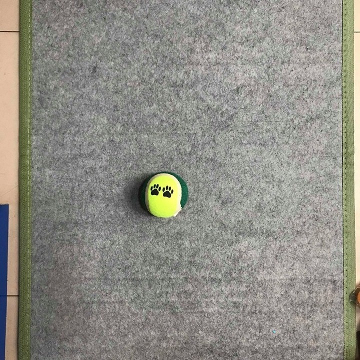 Đồ Chơi Cho Chó - Bóng Tenis