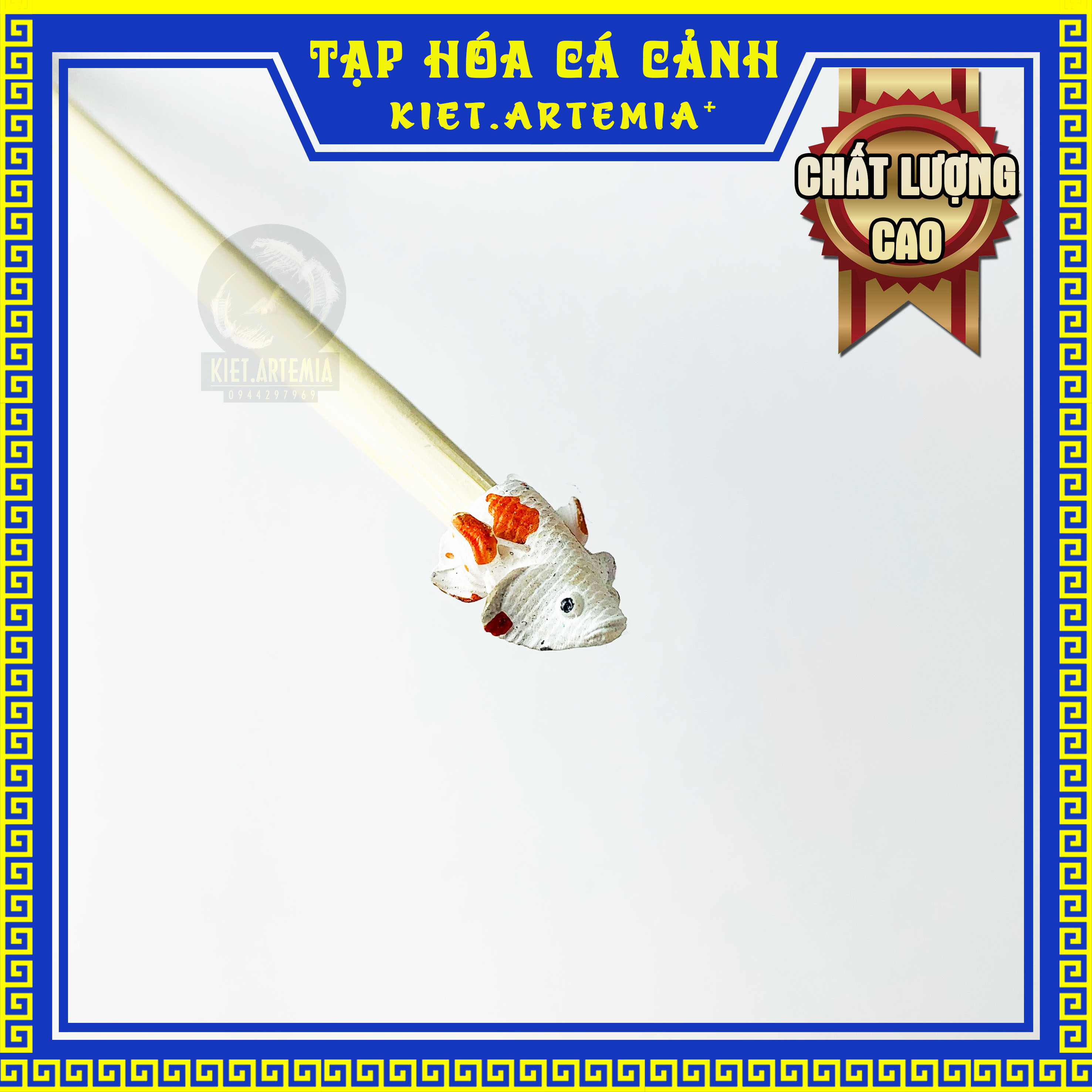 Cây kè cá betta, cây kè cá (màu ngẫu nhiên)