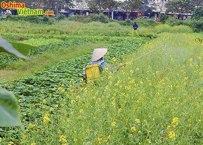 [HCM]Bình xịt điện KCT 16D