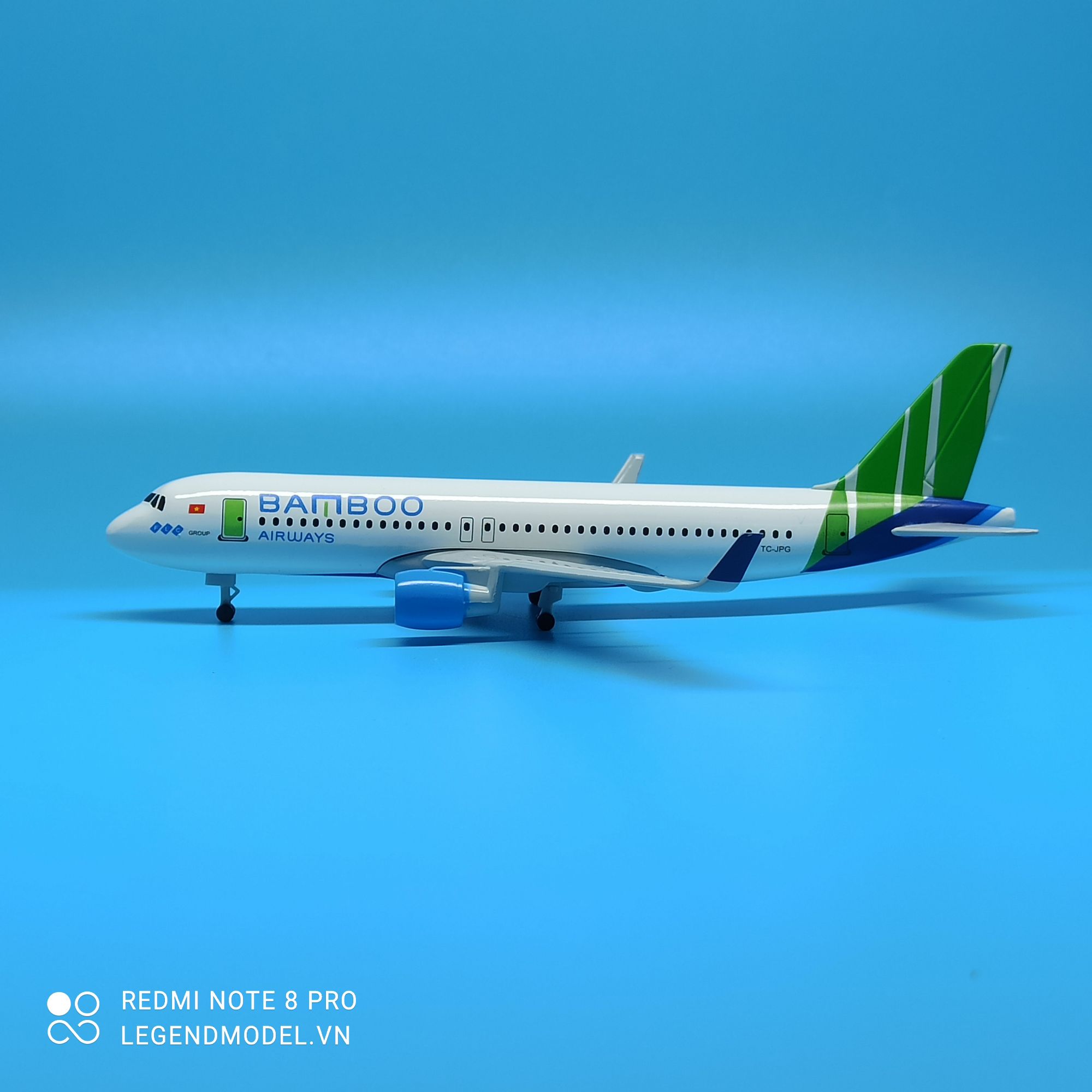 Bamboo Airways Aircraft Model