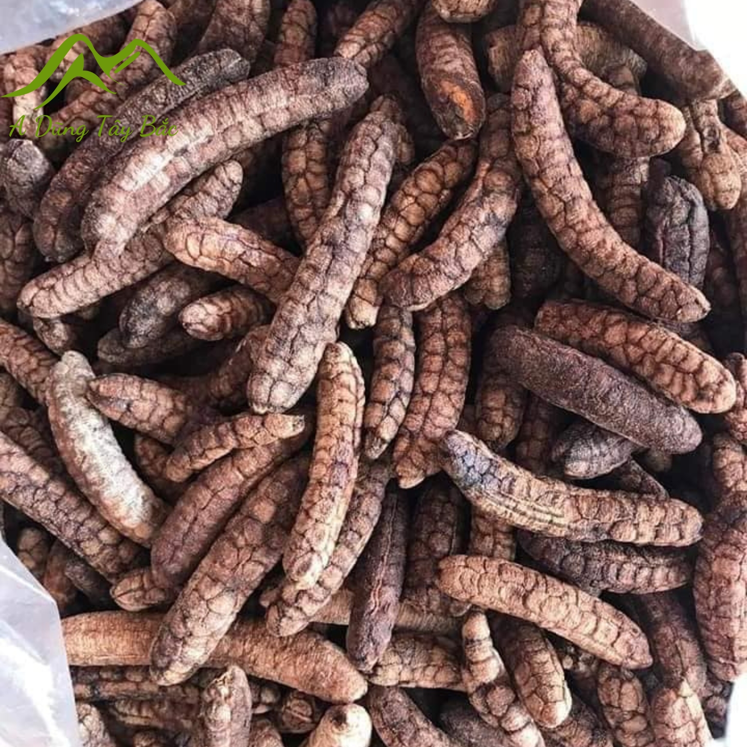 Chuối hột rừng chín khô nguyên quả, chuối hạt rừng Tây Bắc sấy, ngâm rượu thơm loại 1 . Đặc sản chuối hột, hạt rừng Tây Nguyên