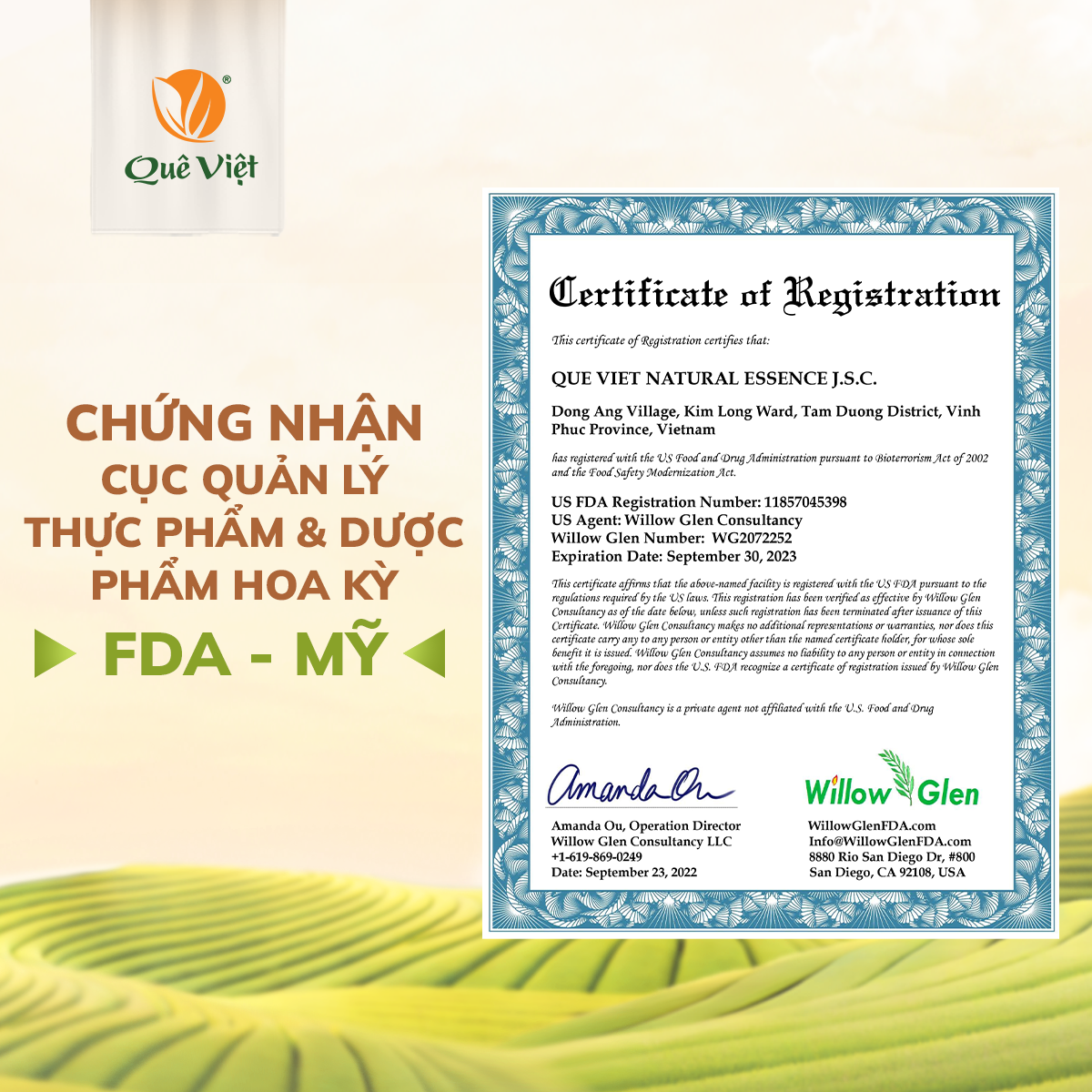 Sữa hạt dinh dưỡng Quê Việt (không đậu nành) - Hộp 500G (20 túi x 25G)