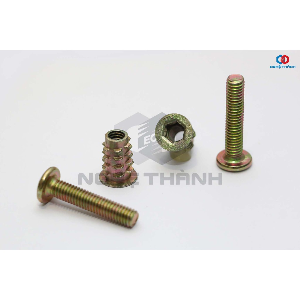 Bộ Bulong + ốc cấy gỗ hiệu EC [HCM]