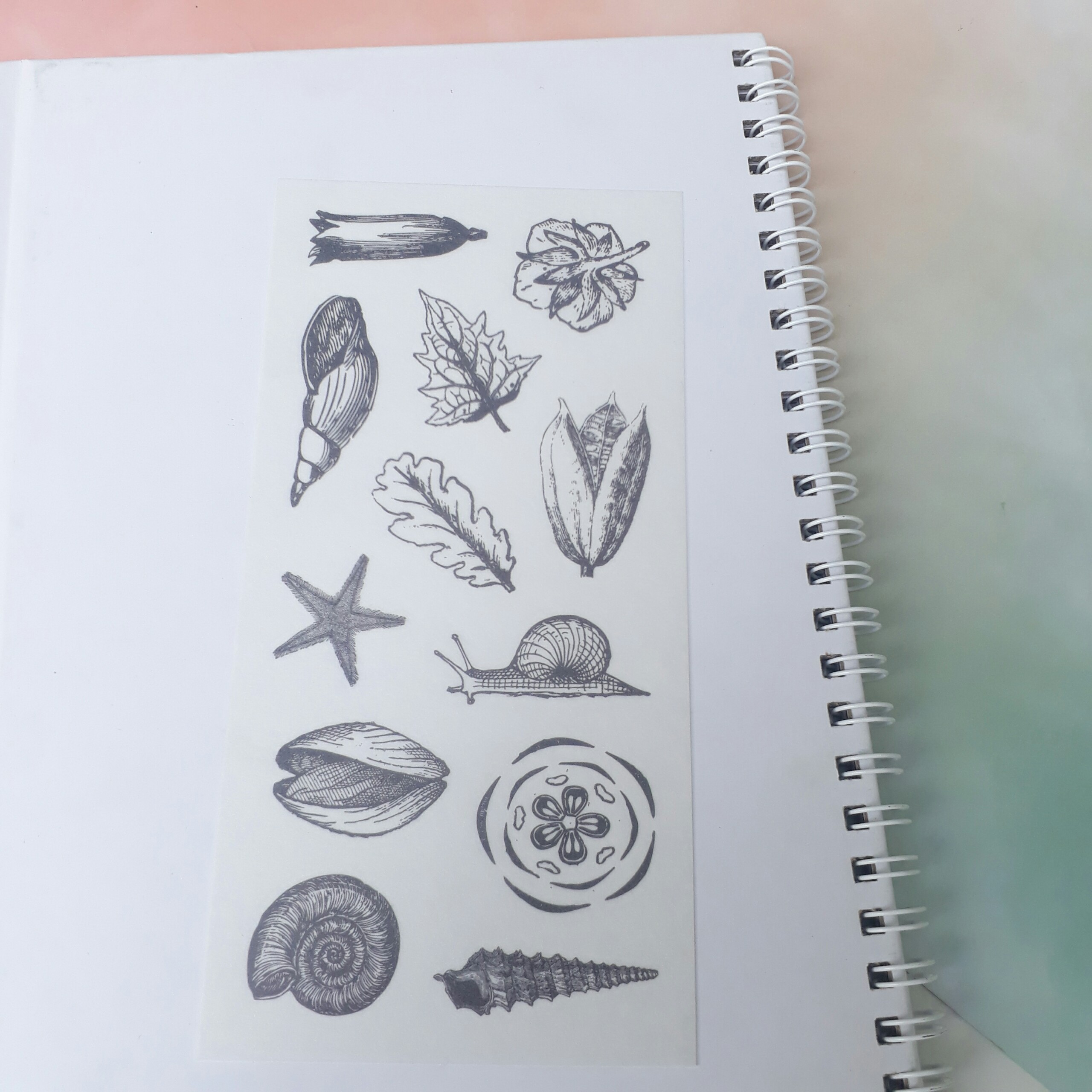 [HCM]Bộ 6 Tấm Sticker Hoa Cổ