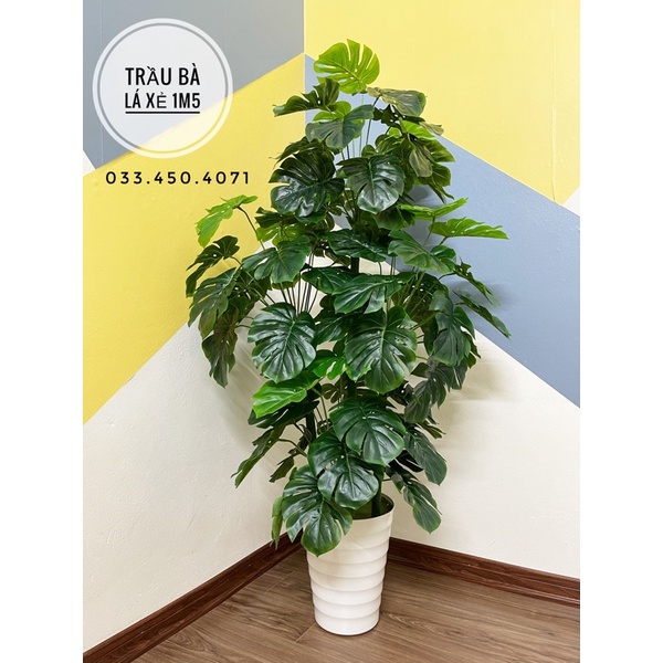 [Mã SKAMLSC228 giảm 10% đơn 100K] Cây giả cây trầu bà lá xẻ decor