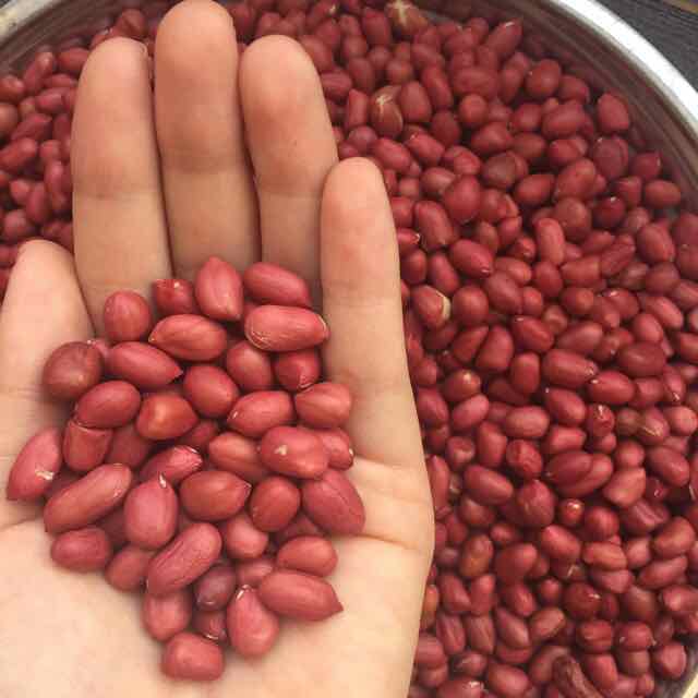 [HCM]Đậu phộng đỏ ( lạc đỏ) 500gr