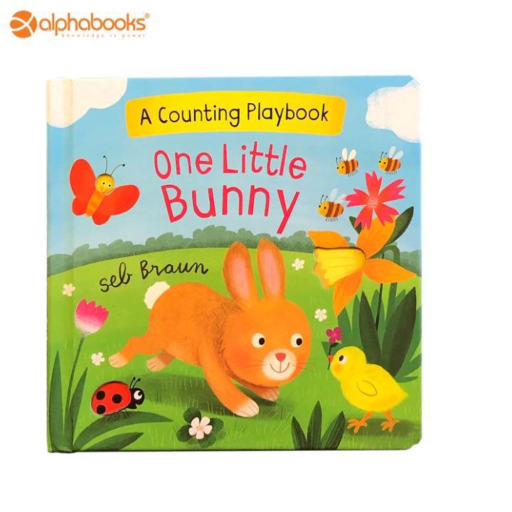 Baby Book: One Little Bunny
