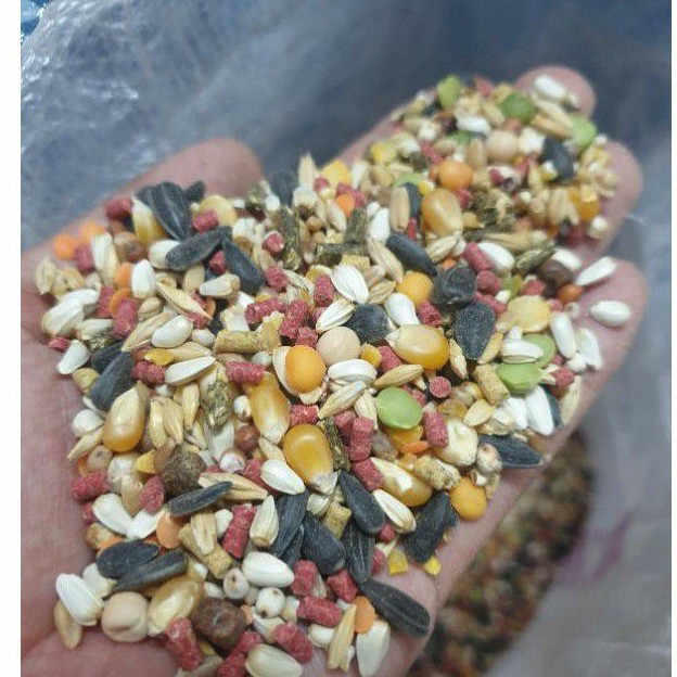 1kg ngũ cốc gà tre thức ăn gà chọi thức ăn gà tre thức ăn gà đá